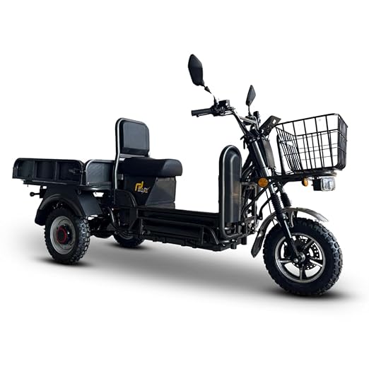 EOX E-Horse Low Speed 3 Wheeler Electric Loader Scooter Non RTO, 600Kg Weight Capacity, Black with Portable Lithium Battery & Charger
